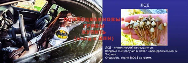 каннабис Нефтекумск
