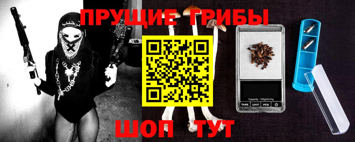 Галлюциногенные грибы GOLDEN TEACHER  Вход с VPN  купить наркотики цена  Нарьян-Мар 