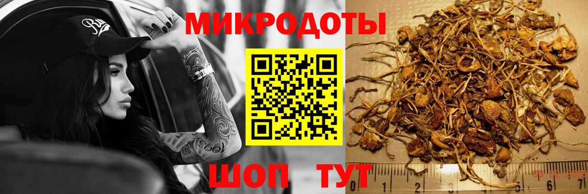 Галлюциногенные грибы GOLDEN TEACHER Нарьян-Мар